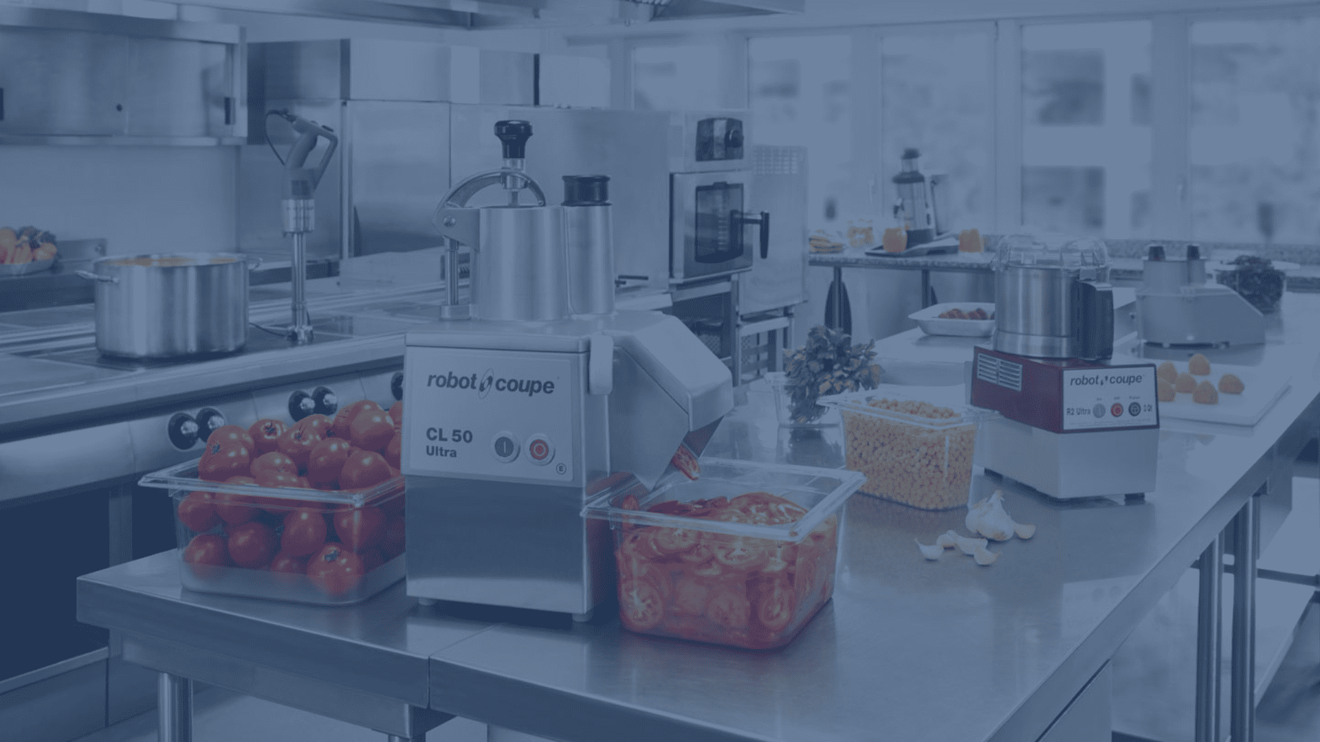 Robotec - Reparação Robot Coupe